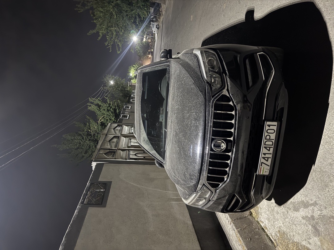 Ssang Yong Rexton, 2017, Рудаки