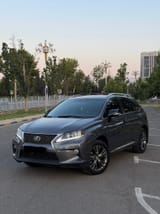 Lexus RX series 2013 — фото 1 из 10