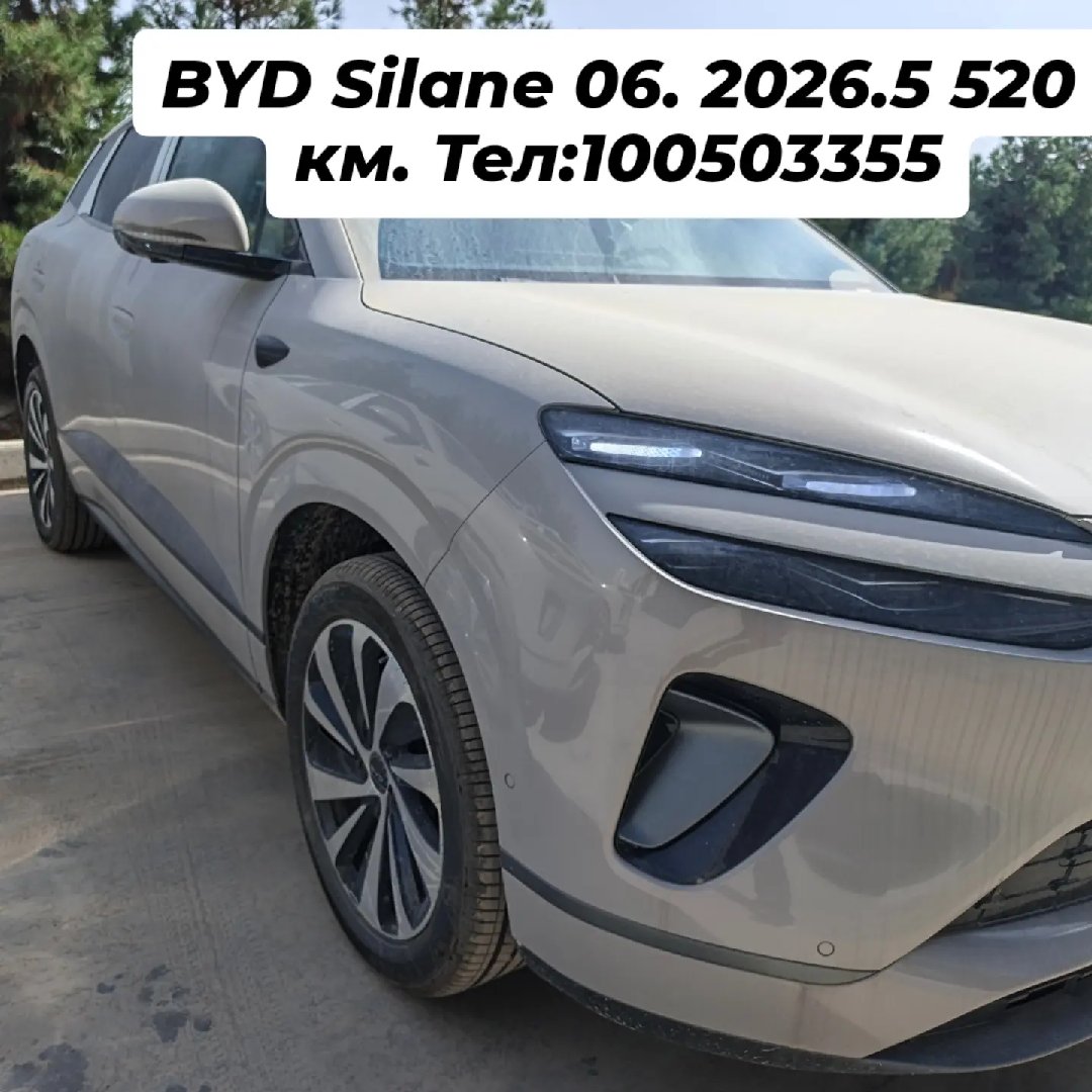 BYD Sealion 2026 — фото 4 из 10