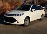 Стекла на Toyota Fielder — фото 2 из 3