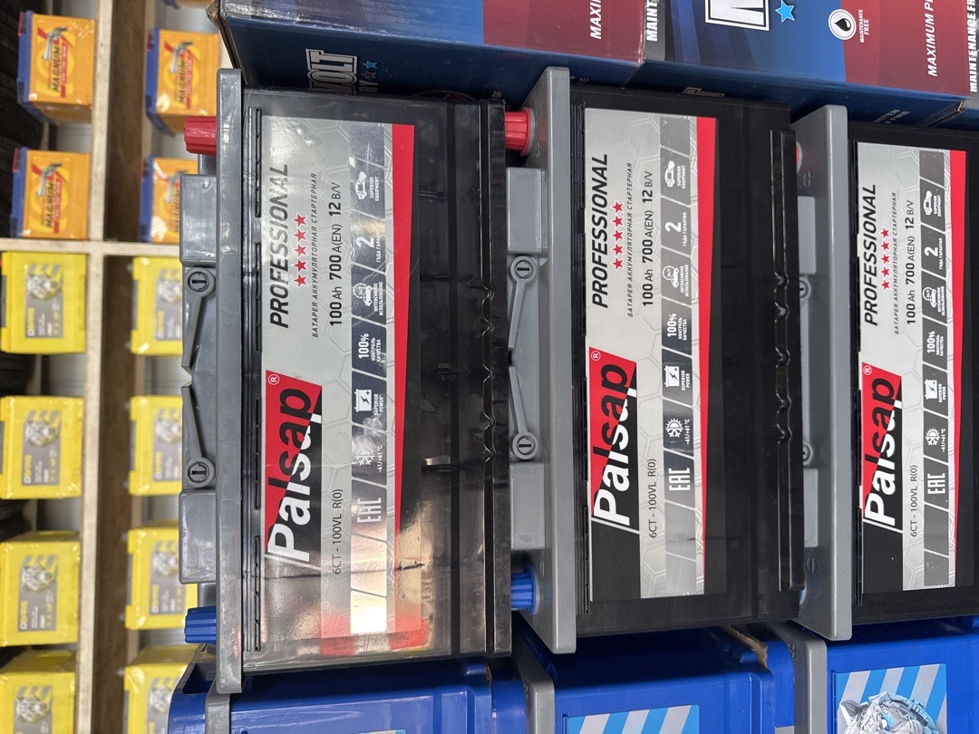 Аккумулятор PALSAP 100 A'H, Душанбе