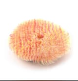 Полировальный круг из цветного меха Shine Systems Unicorn Wool Pad — фото 2 из 2