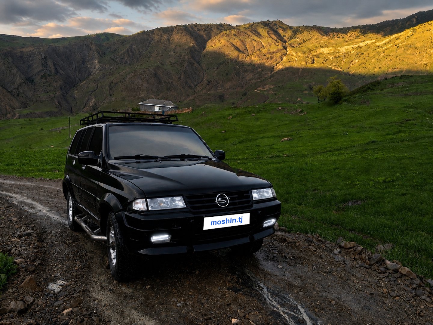 Ssang Yong Musso, 1994, Пенджикент